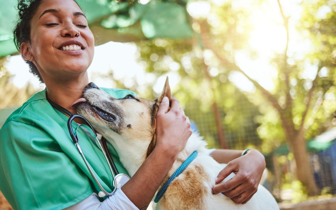 Building Trust in Pet Care: How Online Reviews Can Elevate Your Veterinary Clinic